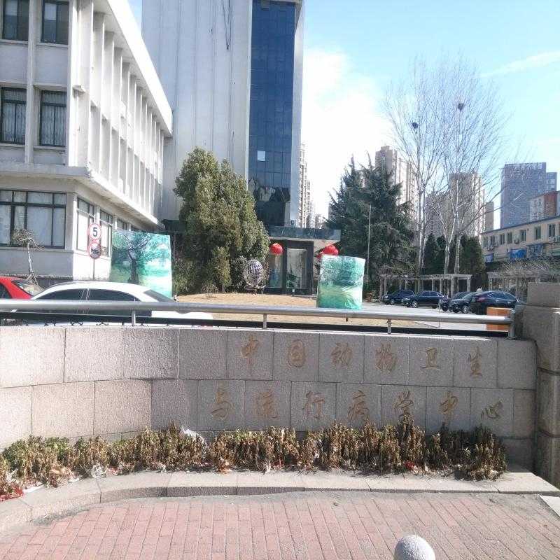 上海pvc塑膠地板——雅麗